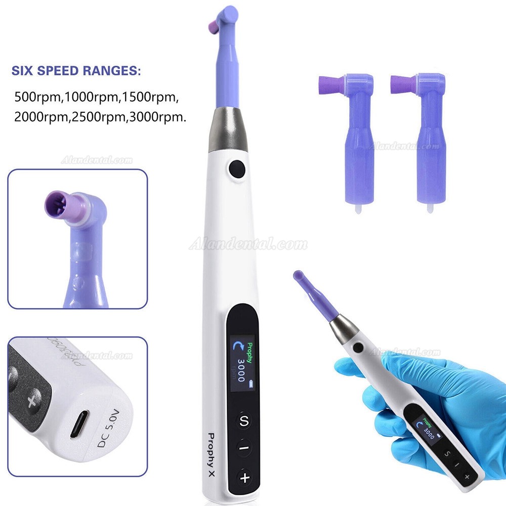 Dental Electric Hygiene Prophy Handpiece 360° Swivel + 2 Prophy Angles